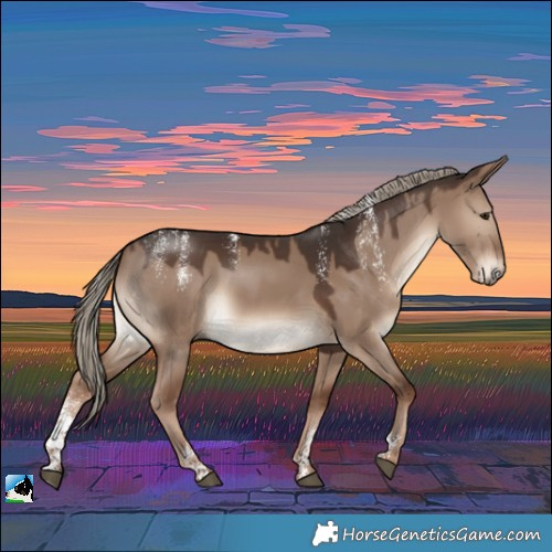 Horse Color:Powder White Liver Red Dun Rabicano 