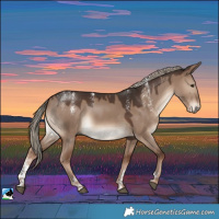 Horse Color:Powder White Liver Red Dun Rabicano 