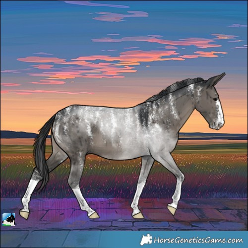 Horse Color:Powder White Grullo Brindle