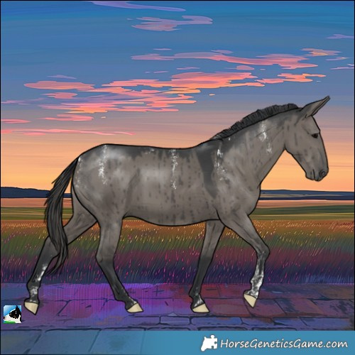 Horse Color:Powder White Grullo Rabicano Brindle
