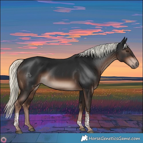 Horse Color:Liver Chestnut Mushroom Tobiano Rabicano 