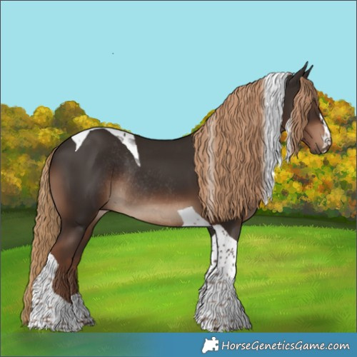 Horse Color:Liver Chestnut Tobiano Rabicano 