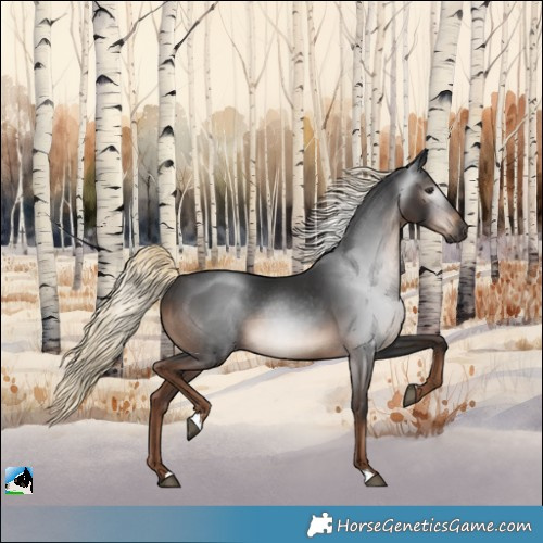 Horse Color:Gray Liver Chestnut Mushroom Rabicano 