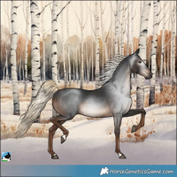 Horse Color:Gray Liver Chestnut Mushroom Rabicano 