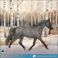 Horse Color:Liver Red Roan Mushroom Rabicano
