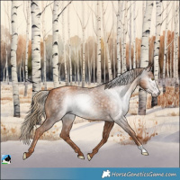 Horse Color:Gray Gold Champagne 