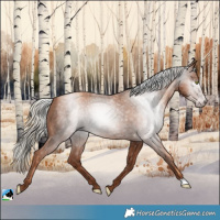 Horse Color:Gray Gold Champagne Mushroom