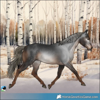 Horse Color:Gray Liver Chestnut Mushroom 