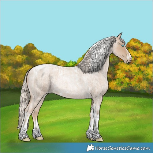Horse Color:Chocolate Palomino Roan Pearl Tobiano Frame and Chocolate Palomino Roan Pearl Splash Tobiano Frame