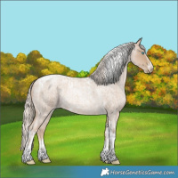Horse Color:Chocolate Palomino Roan Pearl Tobiano Frame  and Chocolate Palomino Roan Pearl Splash Tobiano Frame 