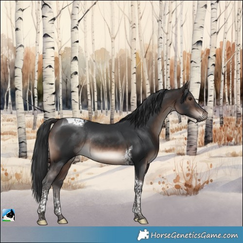 Horse Color:Brown Mushroom Tobiano Rabicano
