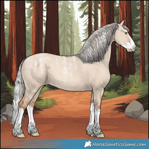Horse Color:Powder White Silver Sable Champagne Dun Splash Appaloosa 