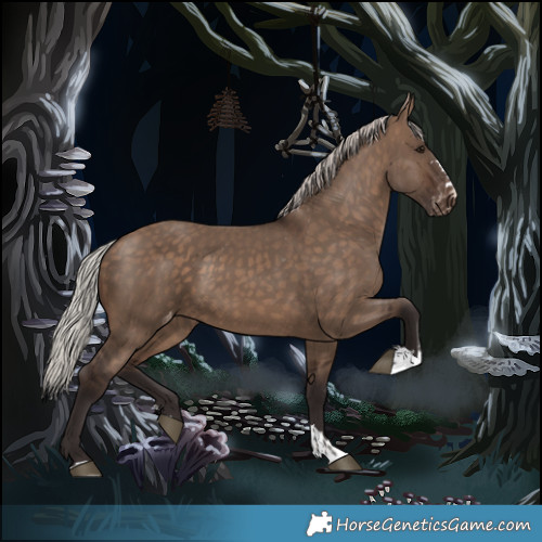 Horse Color:Silver Brown Dun Appaloosa