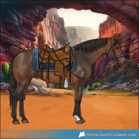 Horse Color:Brown 