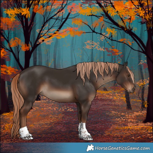 Horse Color:Liver Chestnut Tobiano Rabicano 