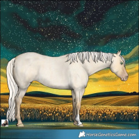 Horse Color:Silver Amber Cream Champagne Roan Dun