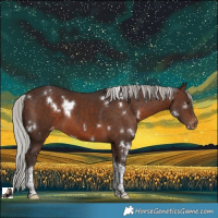 Horse Color:White Spotted Silver Brown Tobiano Snowcap 