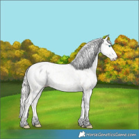 Horse Color:Silver Amber Champagne Pearl Dun Tobiano Leopard Rabicano  and Silver Amber Champagne Pearl Dun Tobiano Leopard Rabicano 