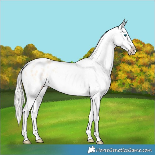 Horse Color:Silver Amber Champagne Pearl Dun Tobiano Varnish Rabicano and Silver Amber Champagne Pearl Dun Tobiano Varnish Rabicano