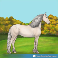 Horse Color:Gold Cream Champagne Pearl 