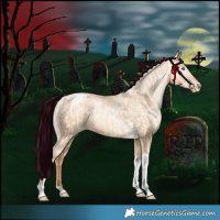 Horse Color:Silver Amber Champagne Pearl Dun Tobiano Varnish Rabicano  and Gray Silver Amber Champagne Pearl Dun Tobiano Varnish Rabicano 