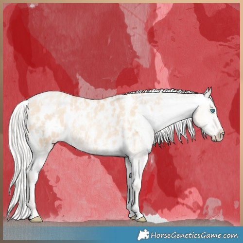 Horse Color:Silver Amber Champagne Pearl Dun Tobiano Blanket Rabicano  and Silver Amber Champagne Pearl Dun Tobiano Blanket Rabicano 