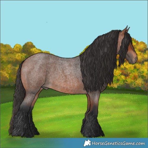 Horse Color:Bay Roan 