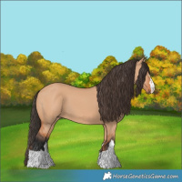 Horse Color:Bay Dun