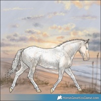Horse Color:Silver Amber Champagne Pearl Dun Tobiano Blanket Rabicano  and Silver Amber Champagne Pearl Dun Tobiano Blanket Rabicano 