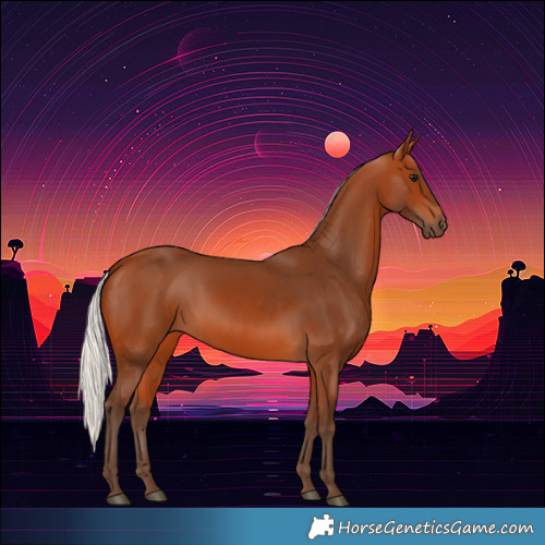 Horse Color:Silver Bay 