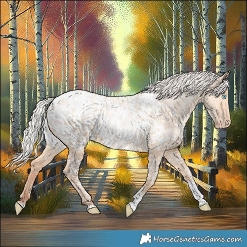 Horse Color:Silver Amber Champagne Pearl Dun Tobiano Appaloosa Rabicano  and Silver Amber Champagne Pearl Dun Tobiano Appaloosa Rabicano 