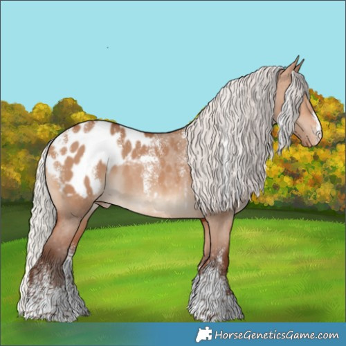 Horse Color:Powder White Silver Bay Dun Appaloosa