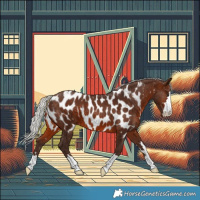 Horse Color:Silver Brown Near Leopard
