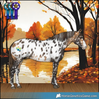 Horse Color:Buckskin Sabino Near Leopard