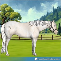 Horse Color:Silver Amber Champagne Pearl Dun Tobiano Blanket Rabicano  and Silver Amber Champagne Pearl Dun Tobiano Rabicano 