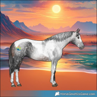 Horse Color:Gray Black Tobiano and Brown Splash Tobiano