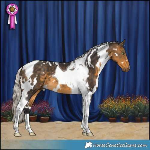 Horse Color:White Spotted Silver Buckskin Tobiano
