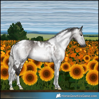 Horse Color:Gray White Spotted Silver Black Tobiano 