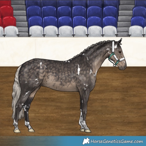 Horse Color:White Spotted Silver Smoky Black Tobiano 