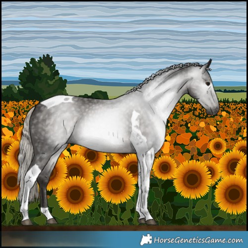 Horse Color:Gray Silver Black Tobiano Varnish 
