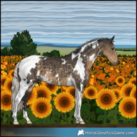 Horse Color:White Spotted Silver Smoky Black Tobiano 