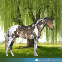 Horse Color:White Spotted Silver Smoky Black Tobiano 
