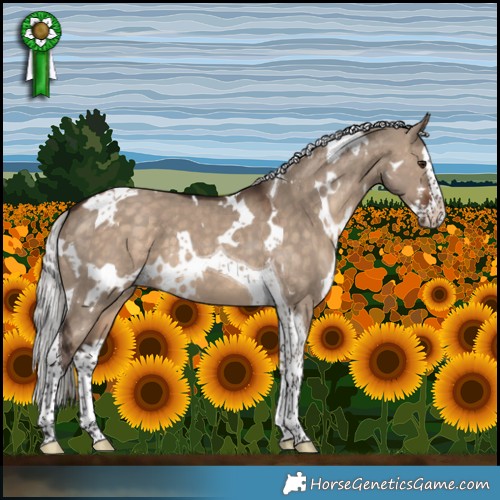 Horse Color:White Spotted Silver Brown Dun Splash Tobiano 