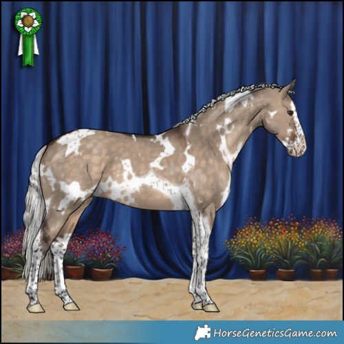 Horse Color:White Spotted Silver Brown Dun Splash Tobiano 