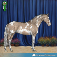 Horse Color:White Spotted Silver Brown Dun Splash Tobiano