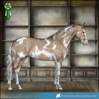 Horse Color:White Spotted Silver Brown Dun Splash Tobiano 