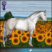 Horse Color:Gray White Spotted Silver Brown Dun Tobiano 