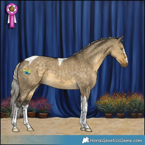 Horse Color:Silver Buckskin Dun Tobiano