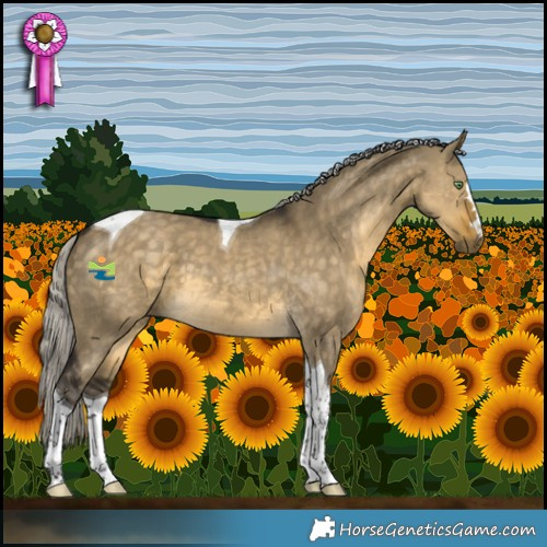 Horse Color:Silver Buckskin Dun Tobiano 