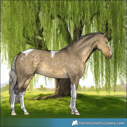 Horse Color:Silver Buckskin Dun Tobiano 